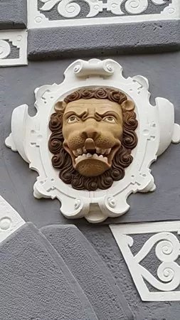 Haus zum Stockfisch