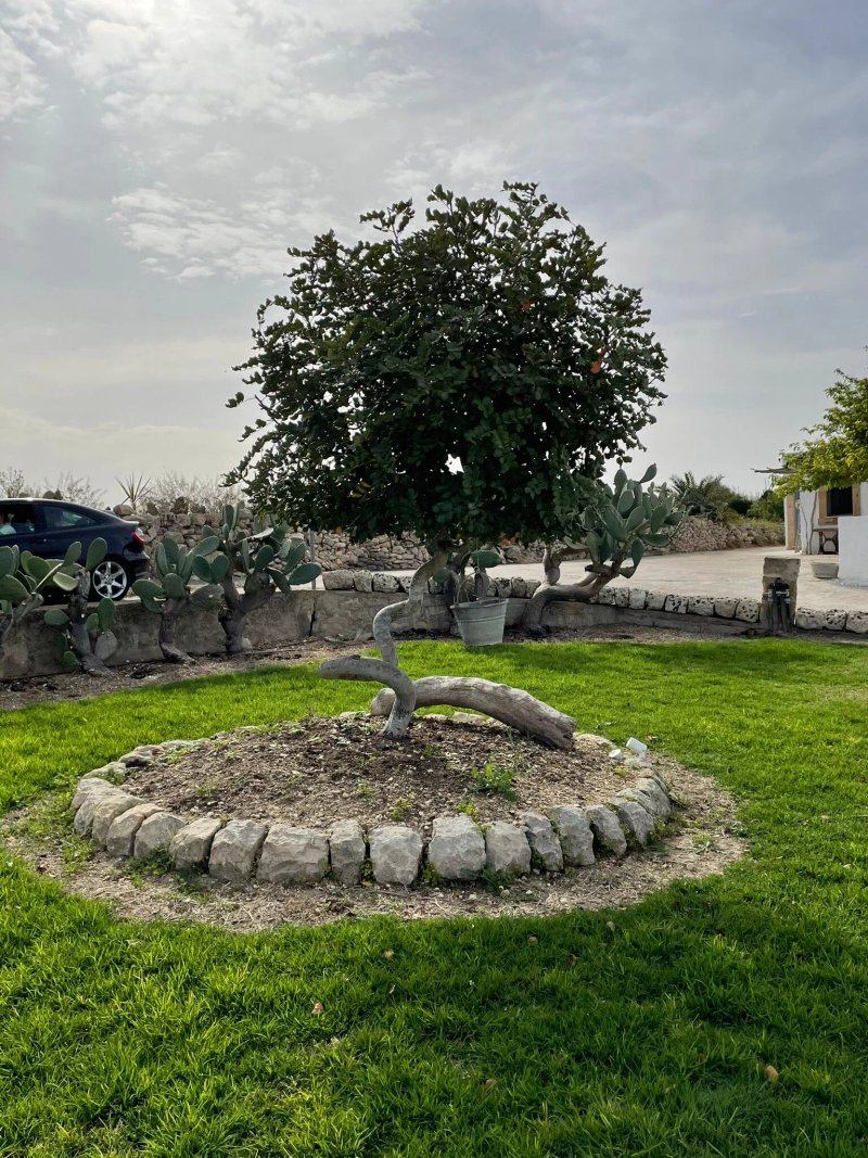 Casale Scirbia