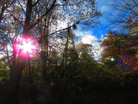 The River Leven Suspension Bridge