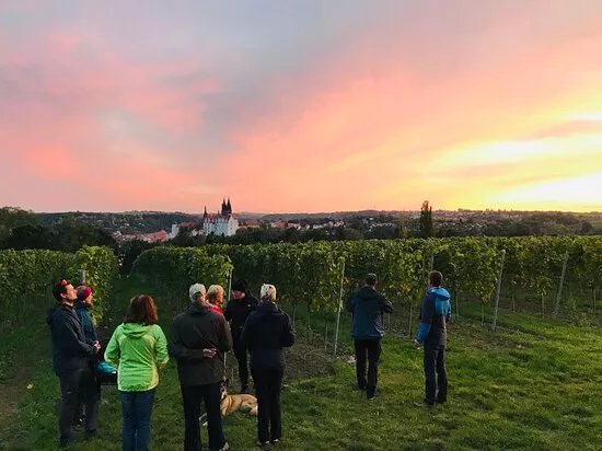 Elbtal Tours
