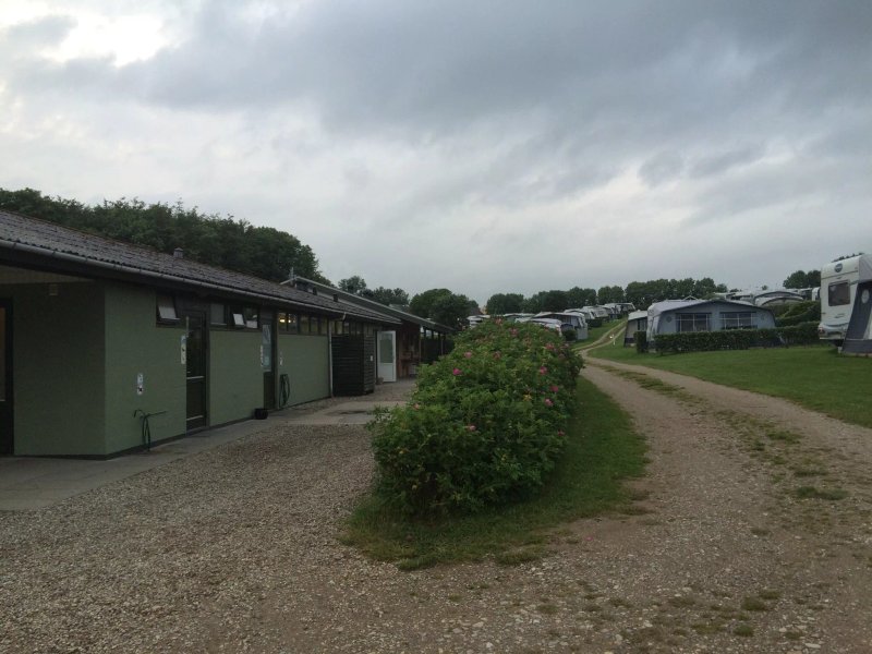Sinebjerg Camping