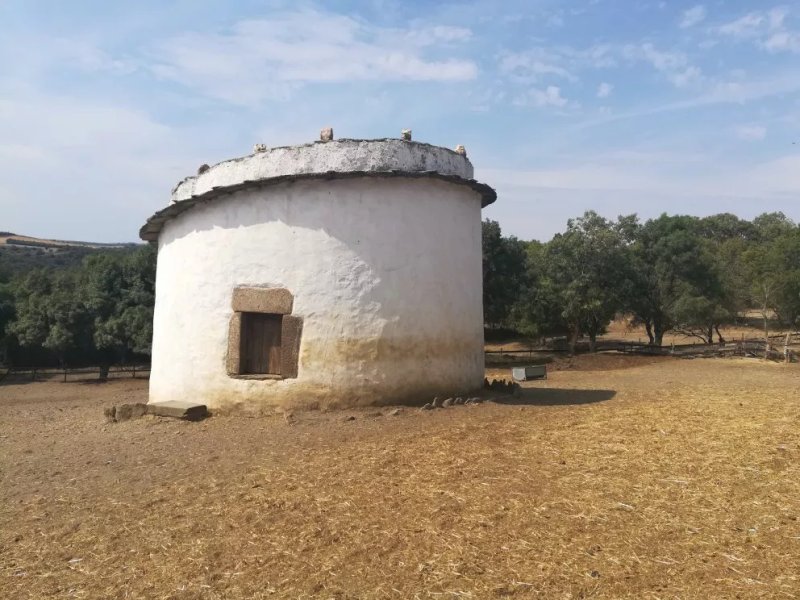 Casa da Ti Cura