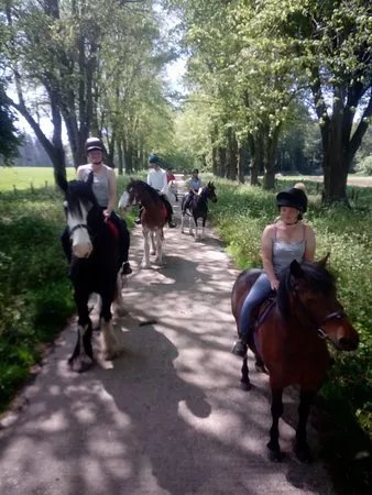 Squirrelwood Equestrian Centre