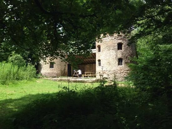 Fyne Court