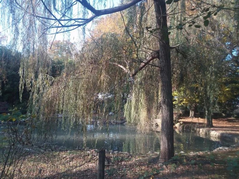 Agriturismo Al Pozzo