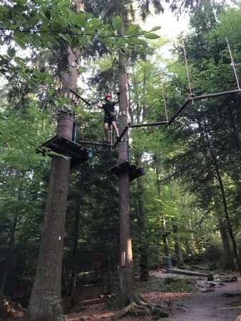 Kletterwald Waldkirchen