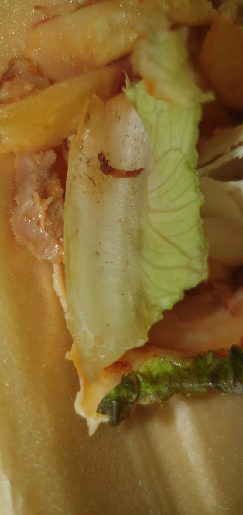 Family Burger