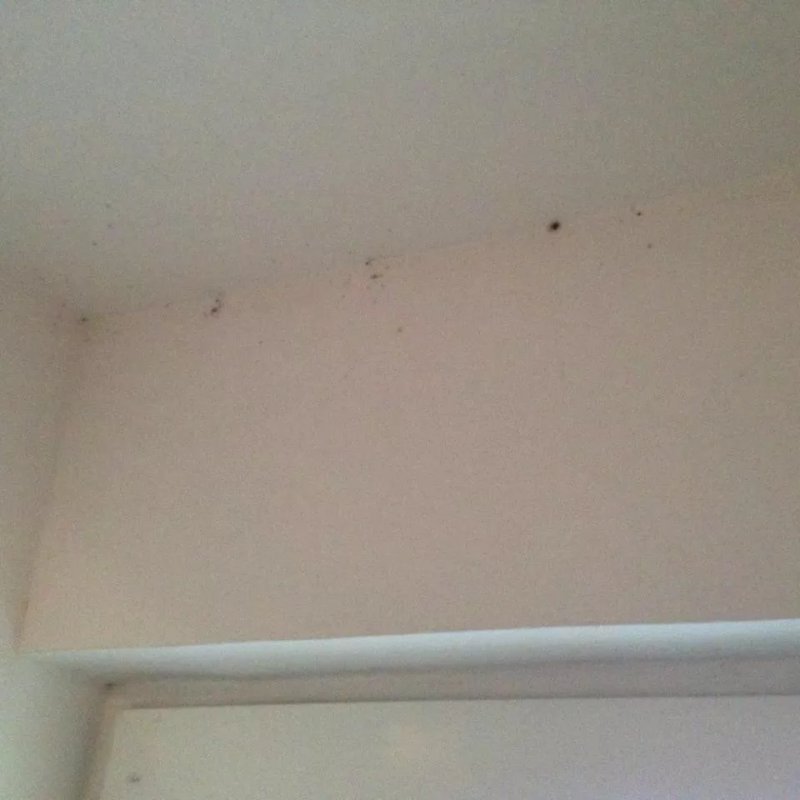 Lelle Park Apartmanhaz