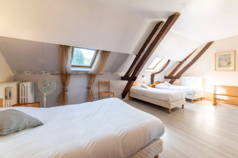 Hotel du Cygne