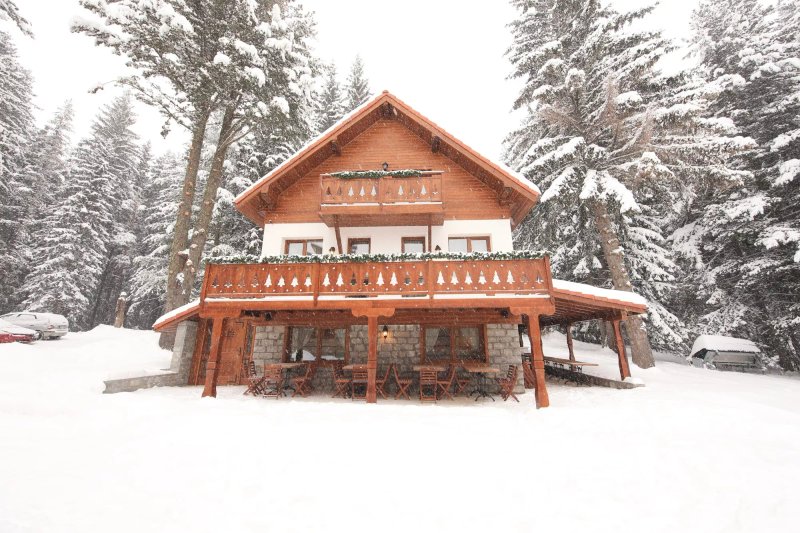 Chalet The Forest Lodge