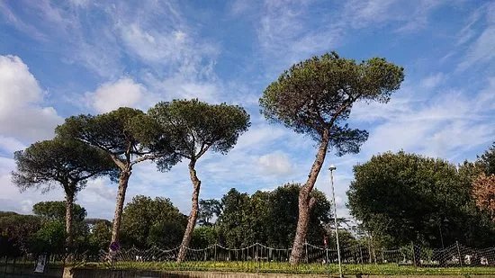 Parco Pozzi