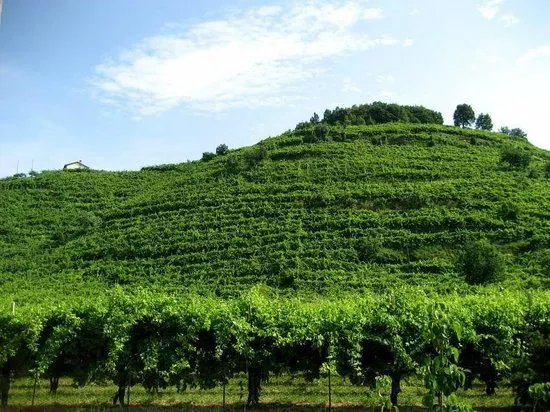 Bressan Daniele Winery