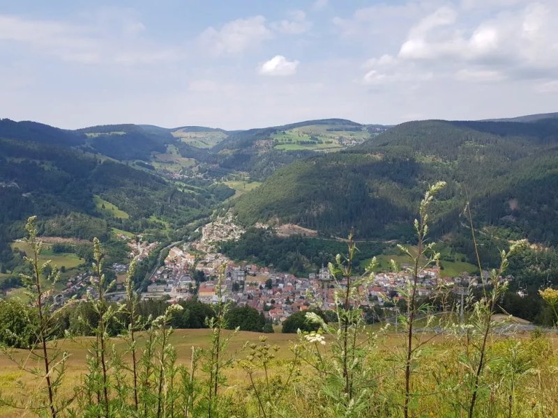 Berggasthaus Hasenhorn