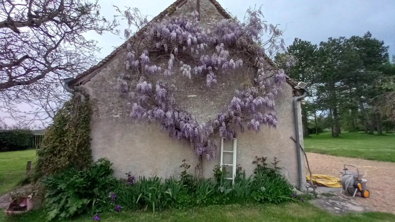 Escale Carisienne