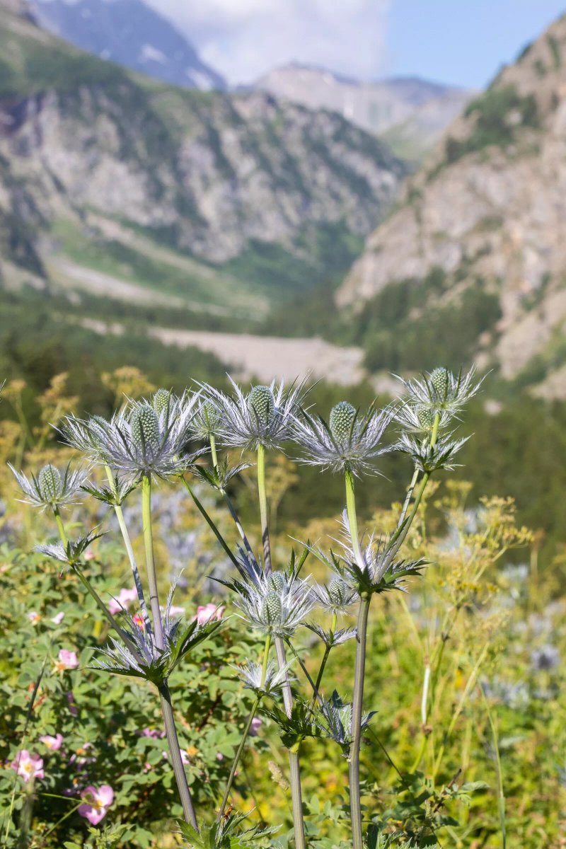Vallee du Fournel