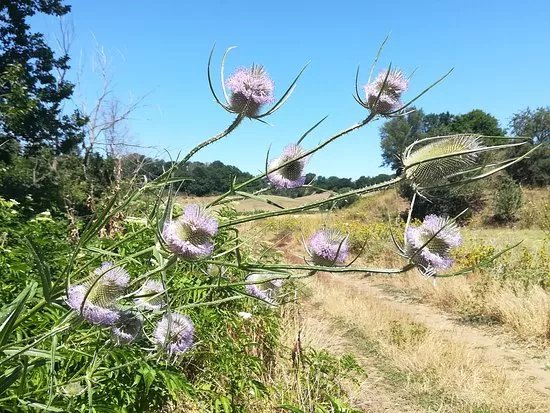 Monumento Naturale di Mazzalupetto