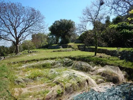 Parco Archeologico e Naturale di Santa Maria d'Agnano