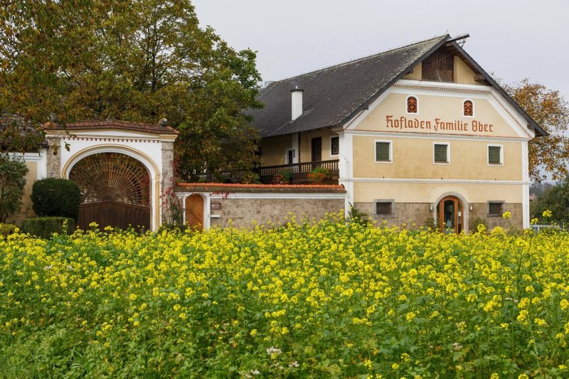 Obergut