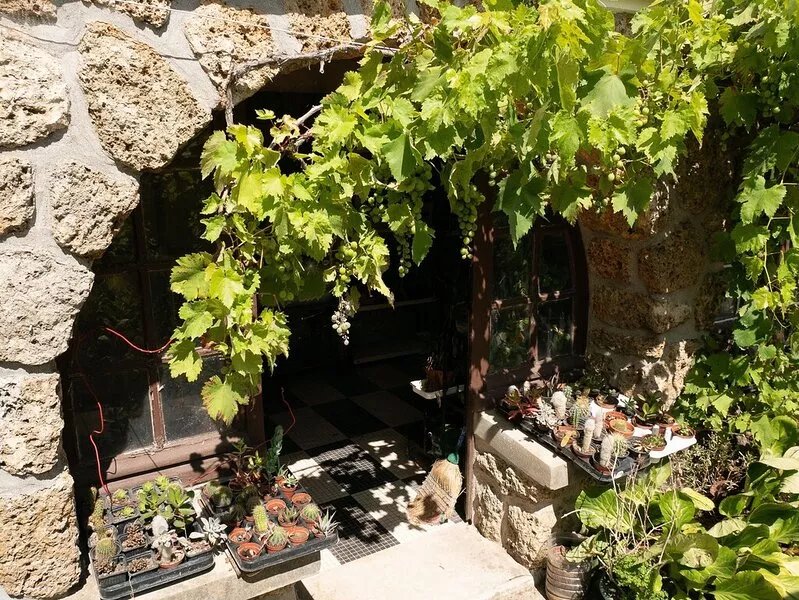 Charming apartment near the Fontainebleau forest