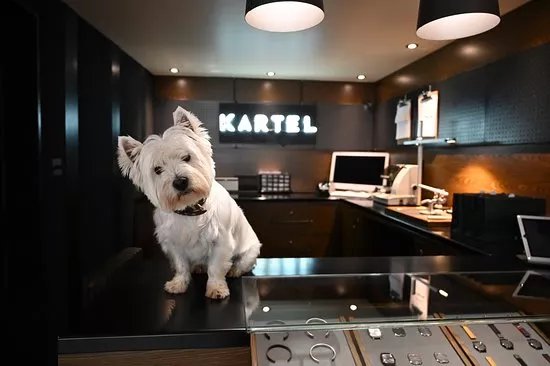 Kartel Watches