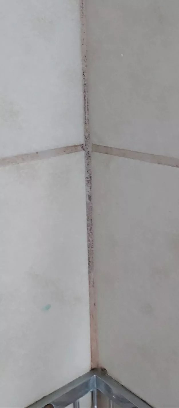 Apartmenthaus Jasmin