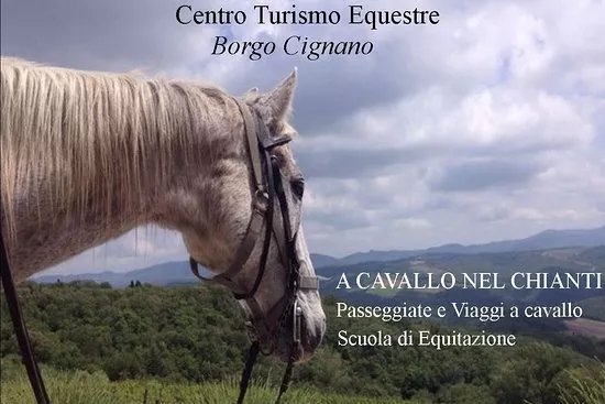 Centro Turismo Equestre Borgo Cignano