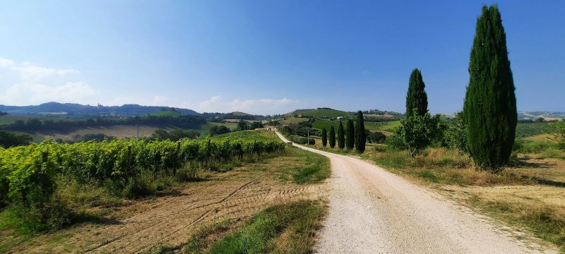 Recchi Franceschini Bike Hotel