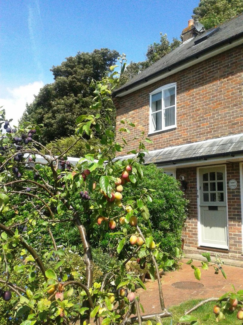 Garden Cottages Bed And Breakfast Lewes