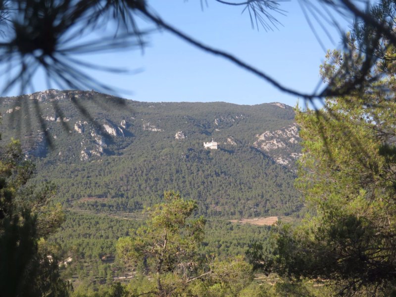 Font Dels Patos
