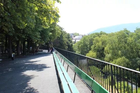 Banc de la Treille