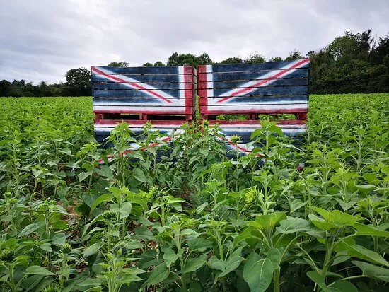 The Pop Up Farm