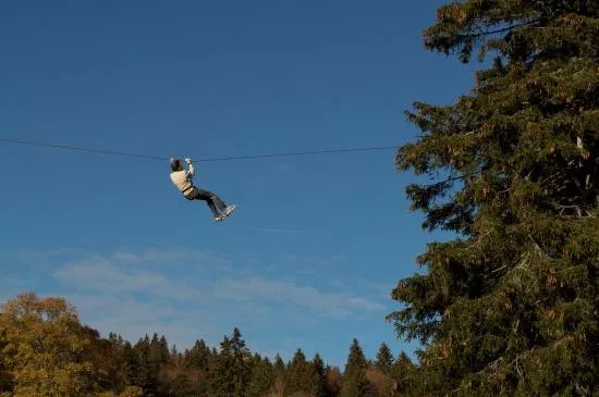 Forest Jump