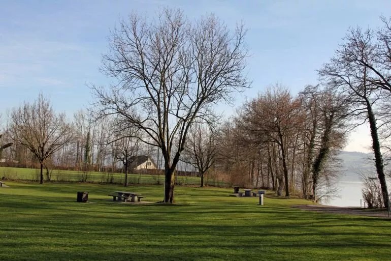 Badi - Seepark Schenkon - Bootssteg