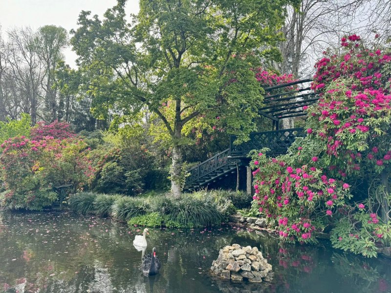 Quinta de Mouraes Casa dos Rododendros