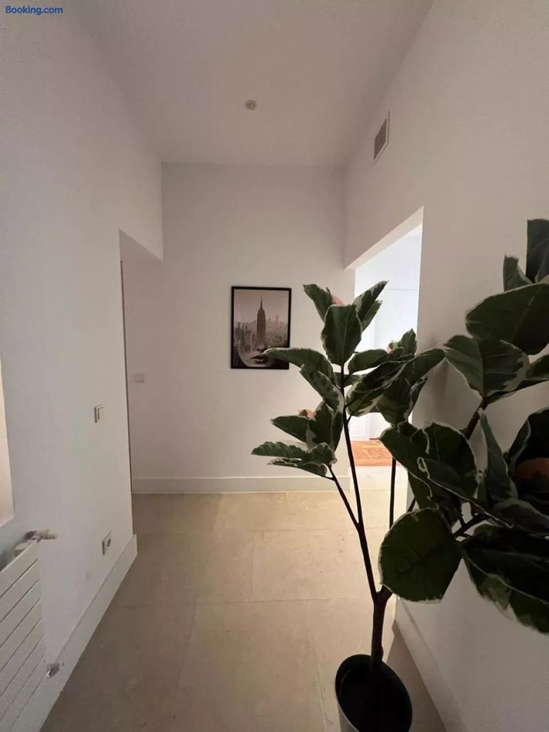 Private Rooms In Magdalena Street