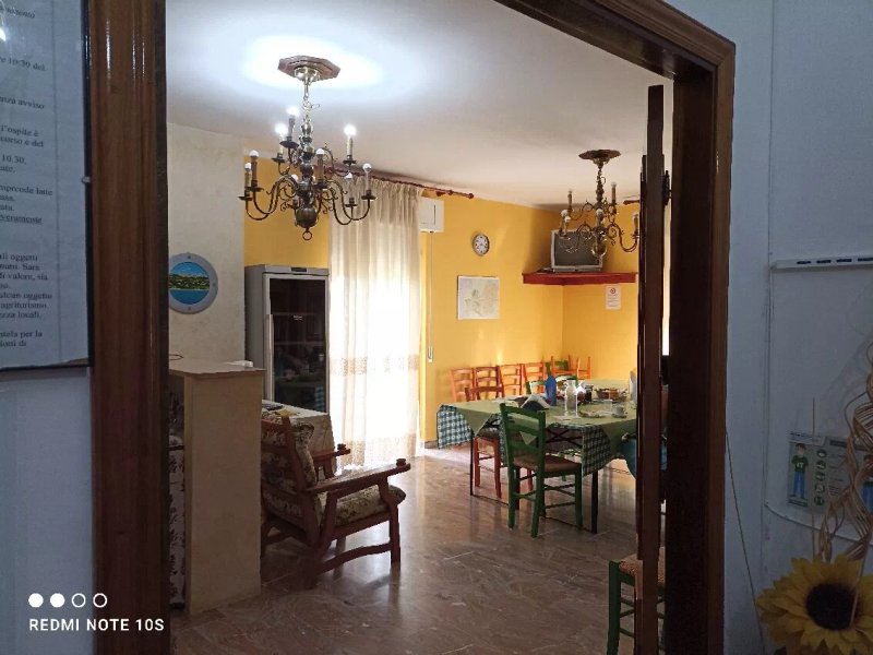 Agriturismo Il Vigneto