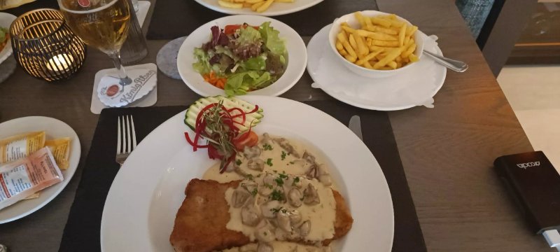 Zur Schwarzdrossel