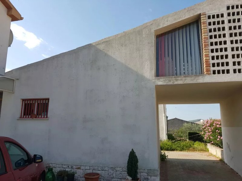 L'Ulivo