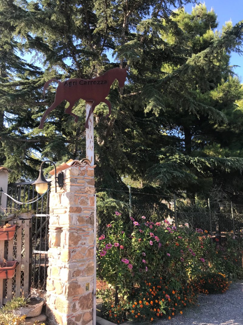 Agriturismo Agri Carrozza