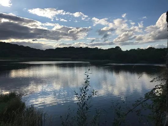 Quoile Pondage Nature Reserve