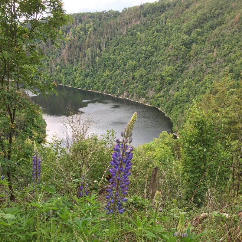 Zur Fernmuhle