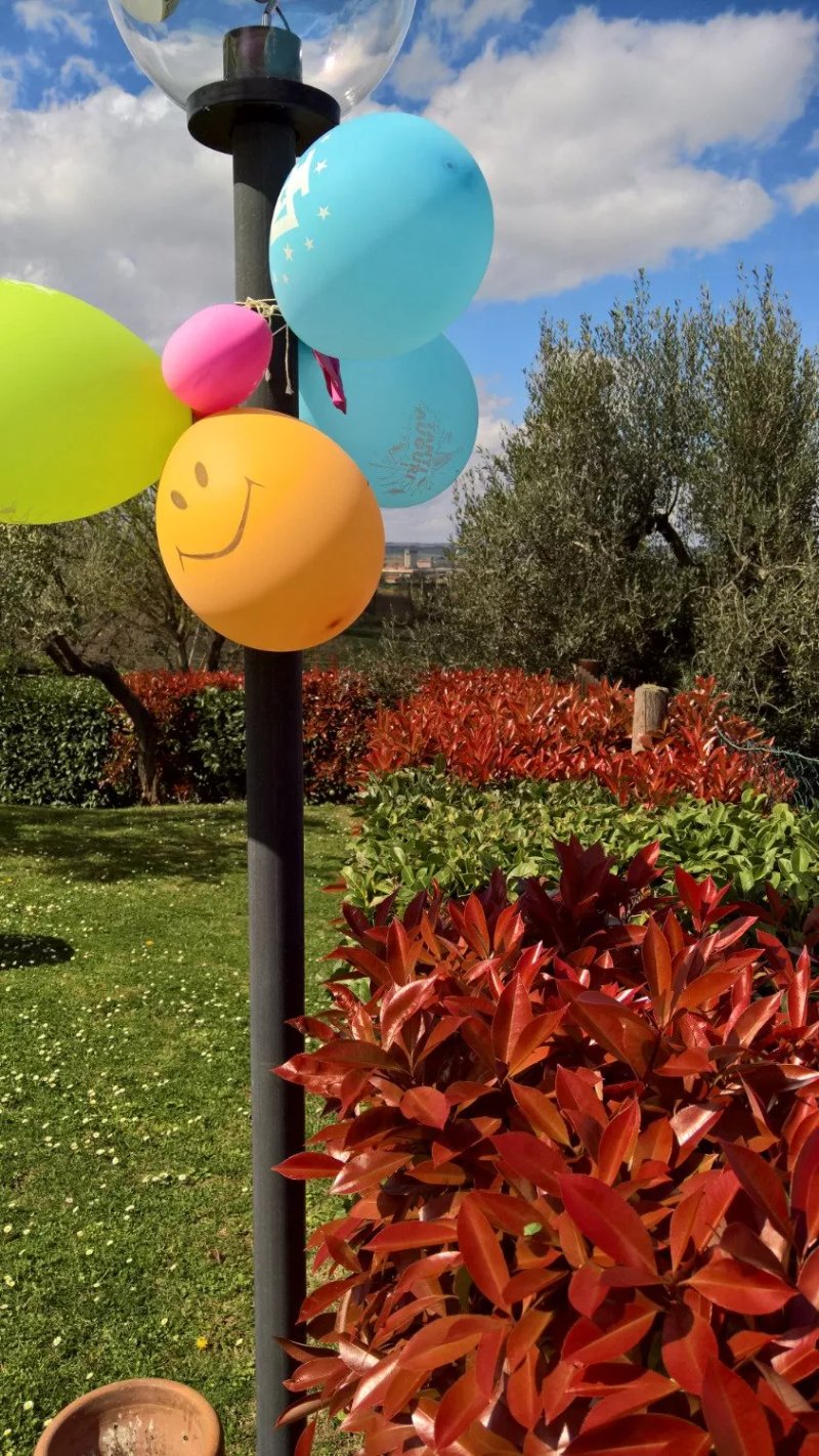 La Piaggiola degli Olivi