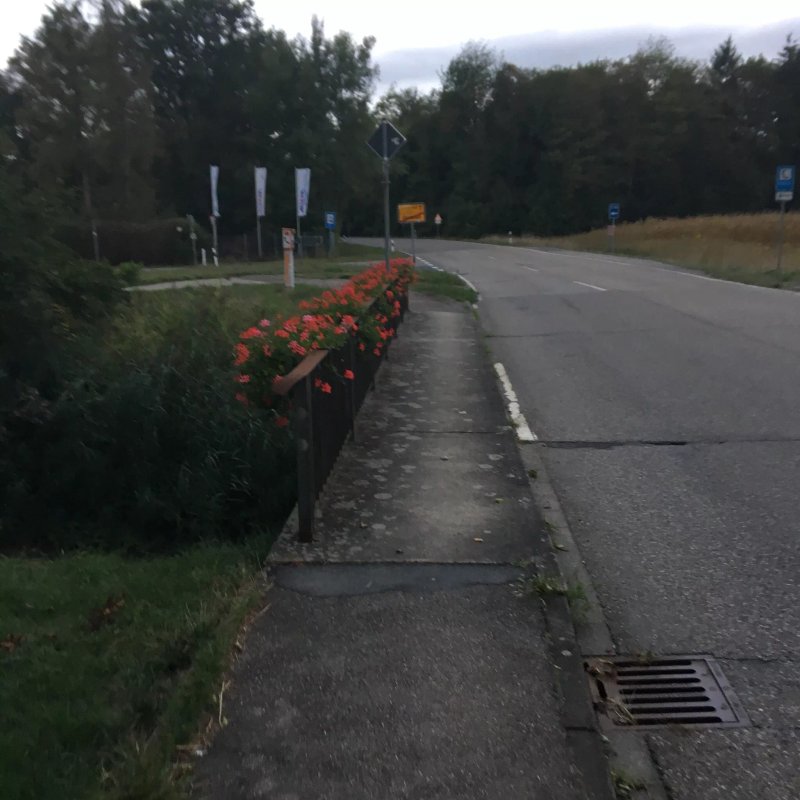 Campingplatz Adam