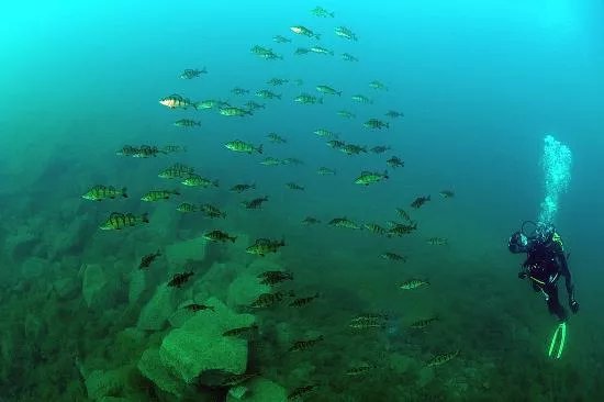 New Horizons Snorkel & Dive Centre