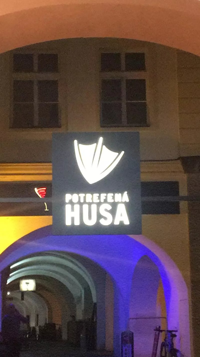 Potrefena Husa