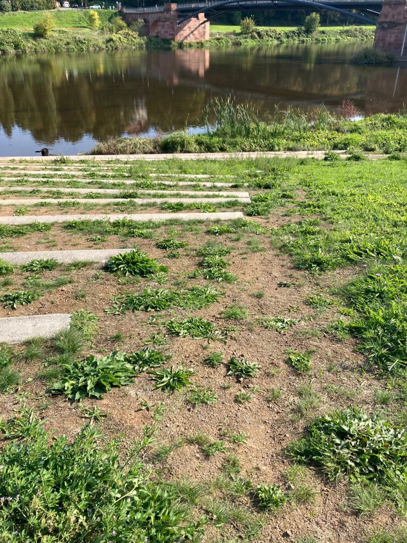 Terrassen Am Ufer Der Mulde In Grimma