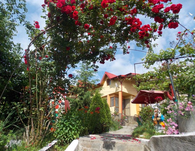 Vila Portas