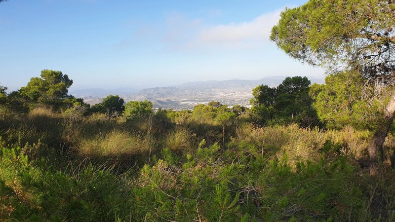 Sierra Del Caballo