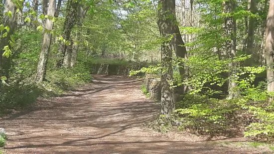 Linacre Reservoirs