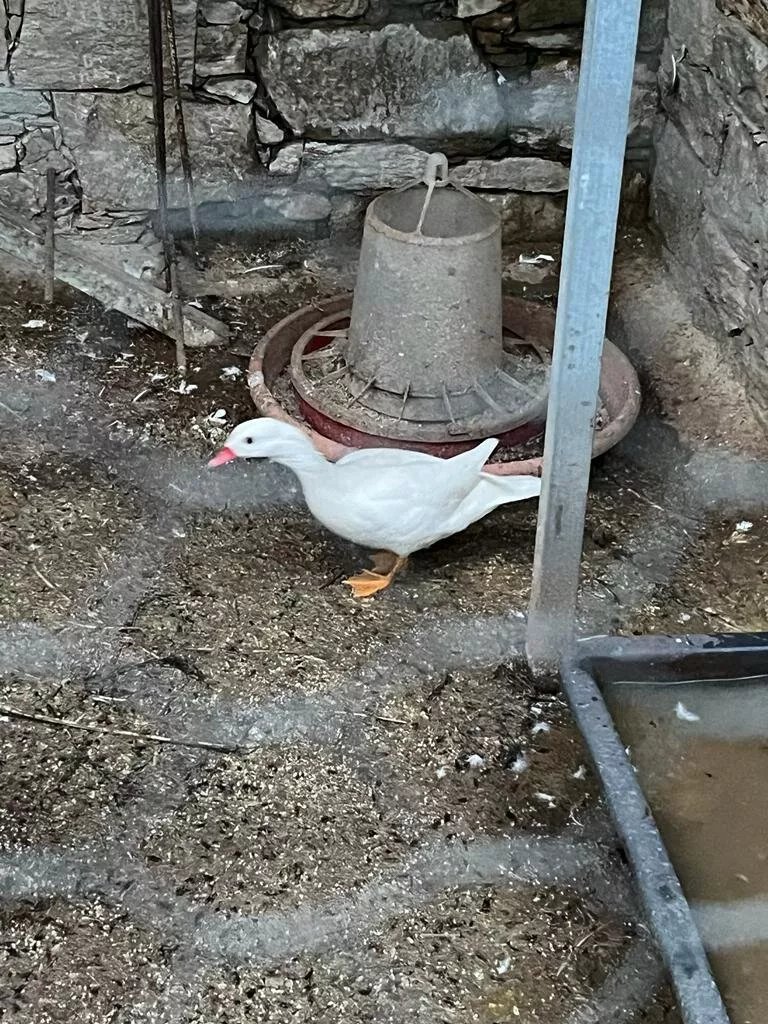 Quinta Da Moagem